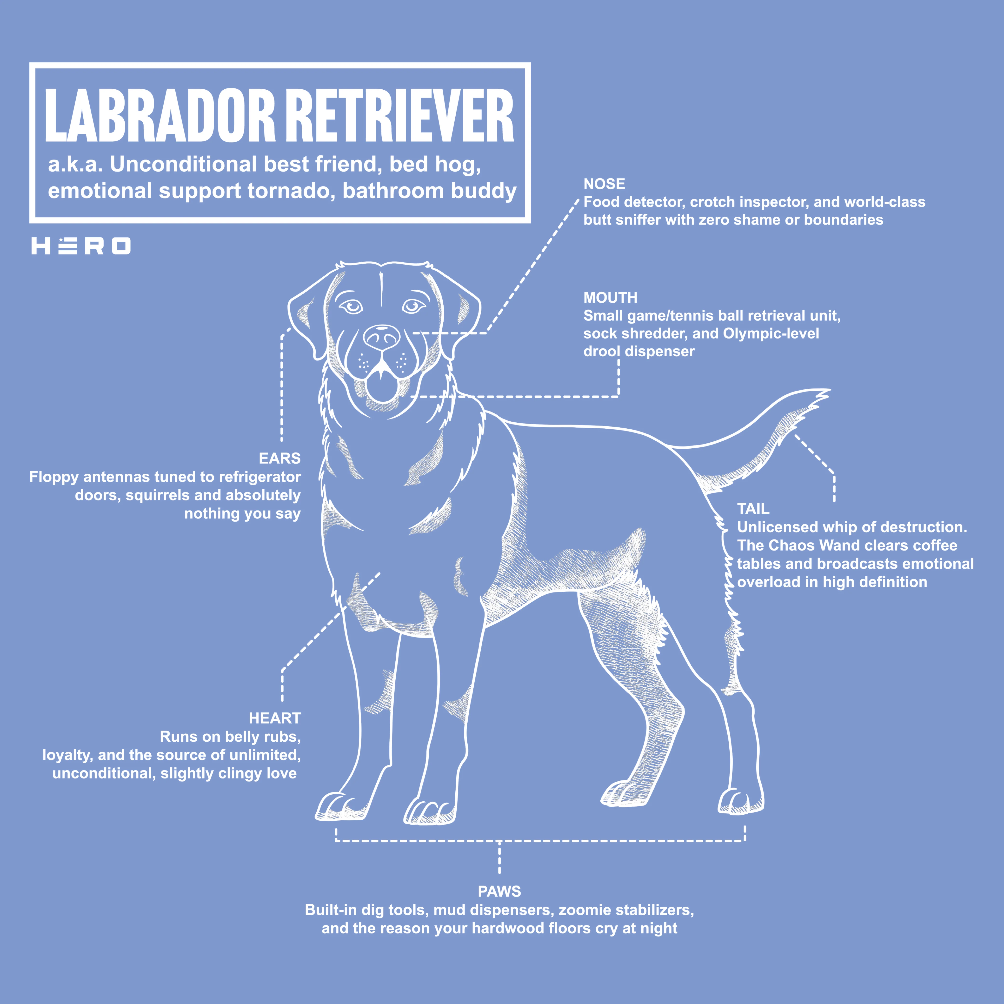 Hero Company Men's Labrador Retriever Unconditional Best Friend Tee - Helps Pair Veterans With A Service Dog or Shelter Dog - Image 5